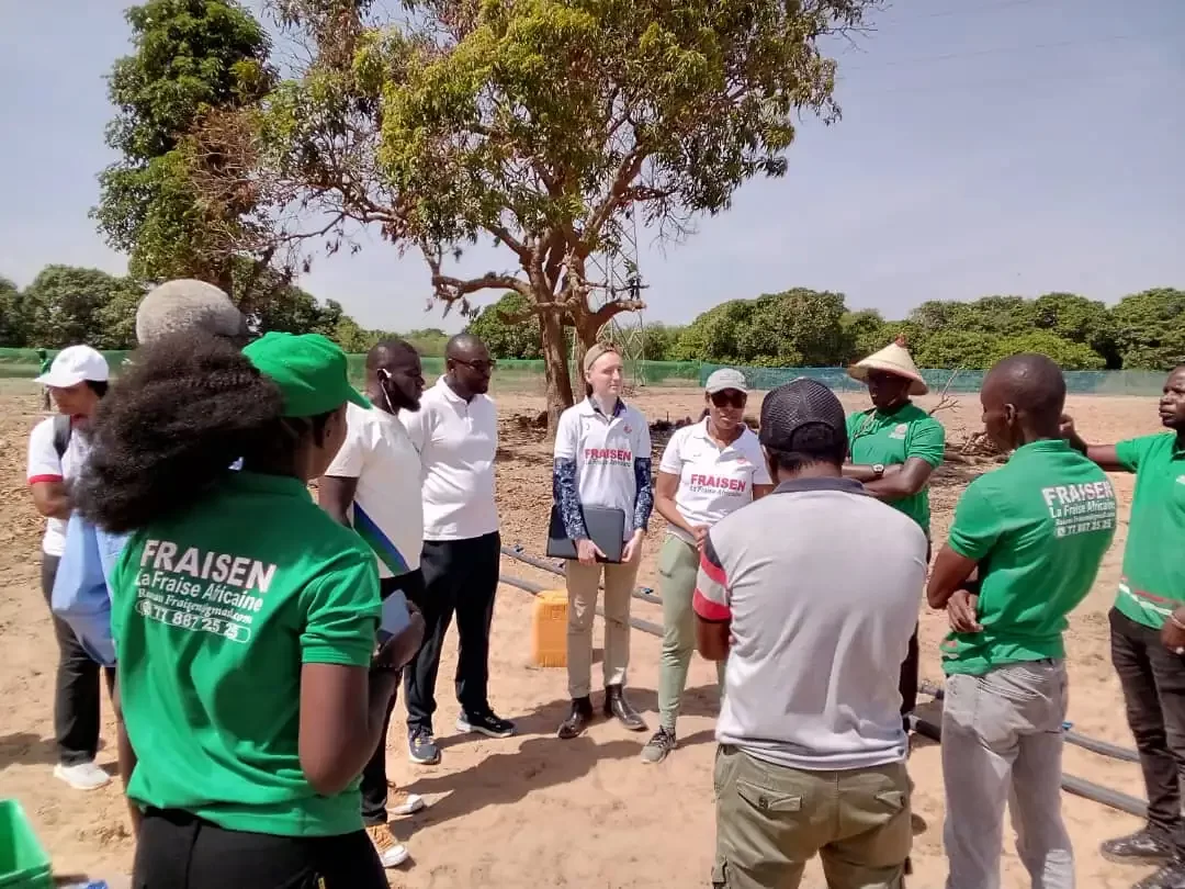 avancement des ONG au Sénégal